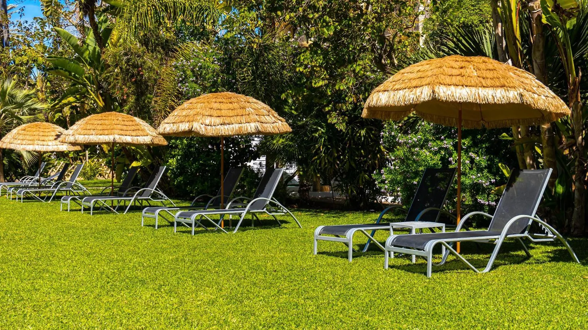Bahia De Alcudia Hotel & Spa 알쿠디아 항구